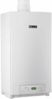 Газовый отопительный котел Bosch  ZBR 70-3-0