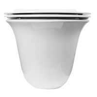 Унитаз подвесной Azario Felice 490*360*360 (круглый) AZ-0051-1