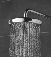 Верхний душ Grohe Tempesta 26412000-2