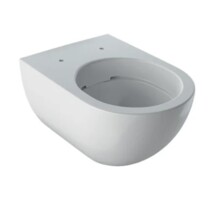 Унитаз подвесной Geberit Acanto Rimfree 500.600.01.2-0
